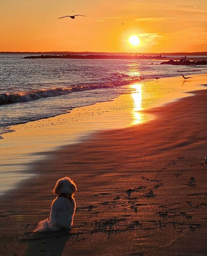 42 Beach Pics That’ll Have You Dreaming of Summer in 0.2 Seconds