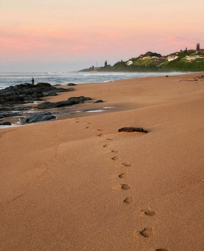 42 Beach Pics That’ll Have You Dreaming of Summer in 0.2 Seconds