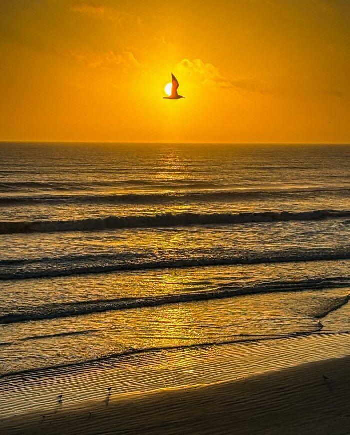 42 Beach Pics That’ll Have You Dreaming of Summer in 0.2 Seconds