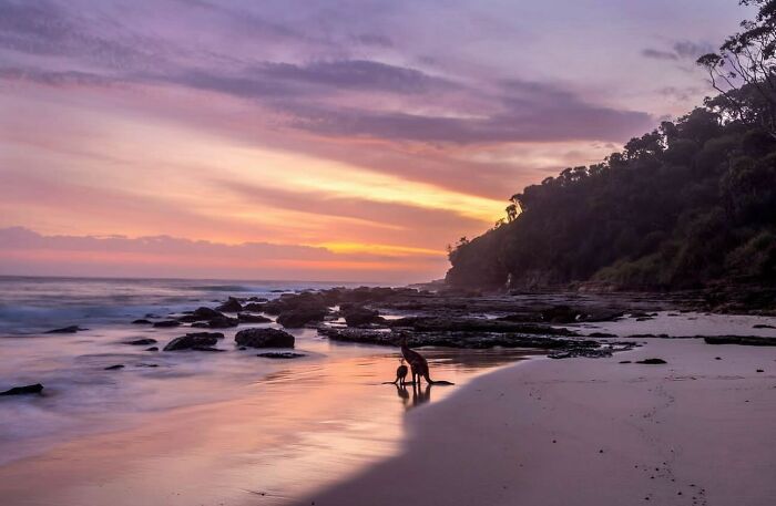 42 Beach Pics That’ll Have You Dreaming of Summer in 0.2 Seconds