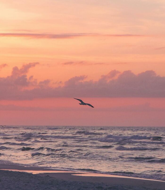 42 Beach Pics That’ll Have You Dreaming of Summer in 0.2 Seconds