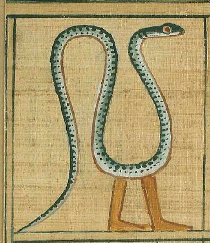 Here's A Snake With Legs To Brighten Up Your Monday