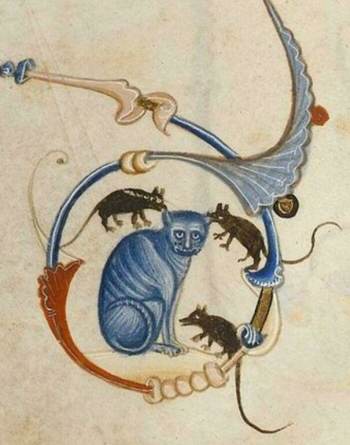 Cat: "Am I A Joke To You"