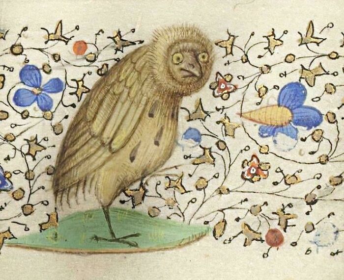 When You Wake Up Thinking It's Friday But It's Actually Only Thursday