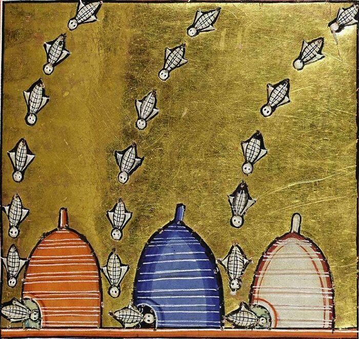 Bees From The Aberdeen Bestiary (12th Century)