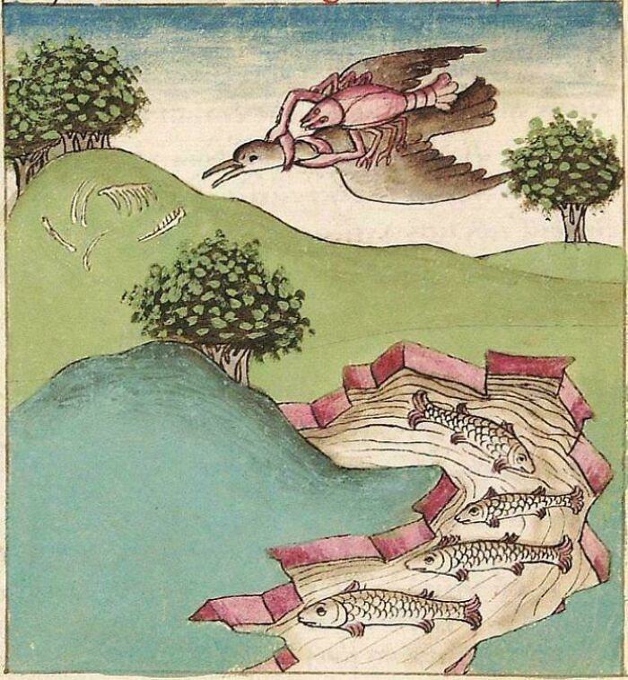 Lobsters Make The Worst Pilots