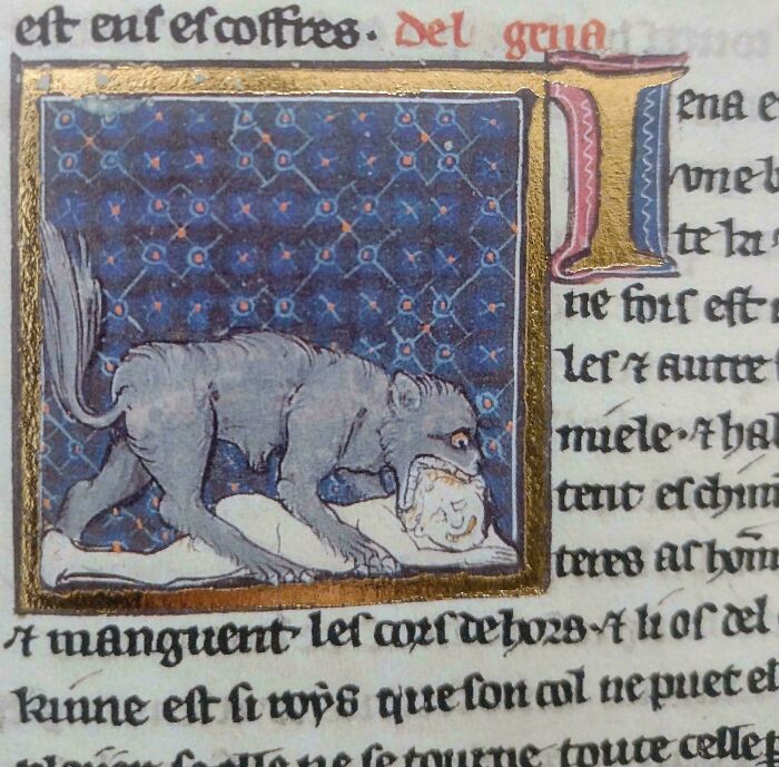 When Your Pet Wakes You Up Early On A Saturday Morning