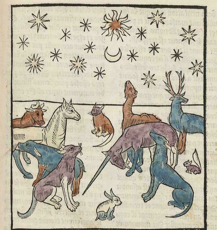 When You're All High Af Just Staring At The Stars