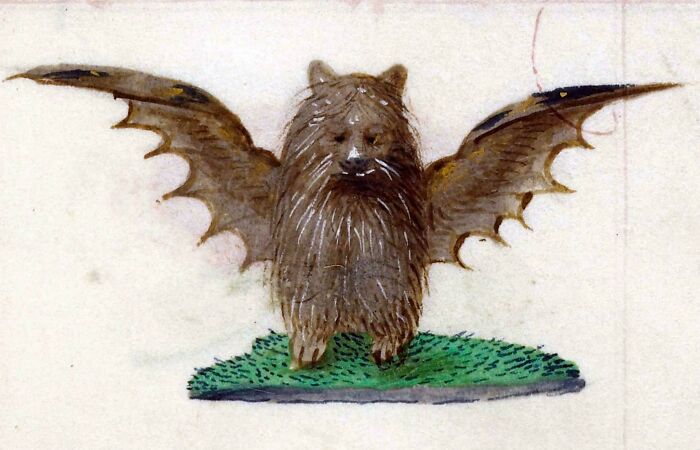 What Would You Name This Furry Little Sky Pupper?