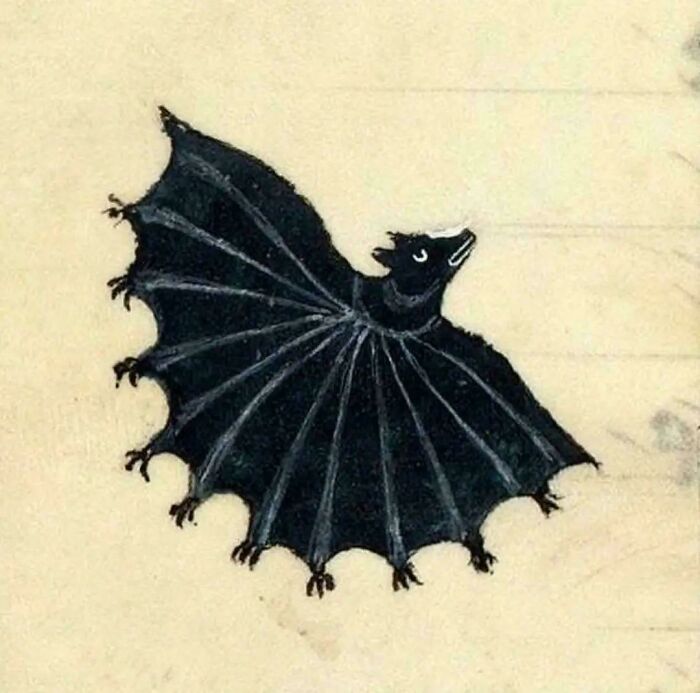 Multi-Footed Bat