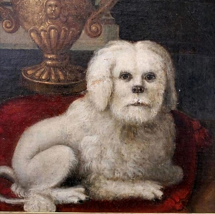 Observing Quietly But Judging Loudly