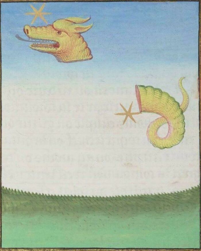 When The Ozempic Works A Little Too Well