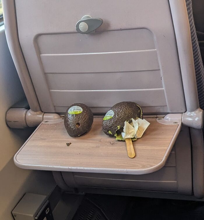 Public Transport Madness: People Doing the Absolute Worst Stuff!