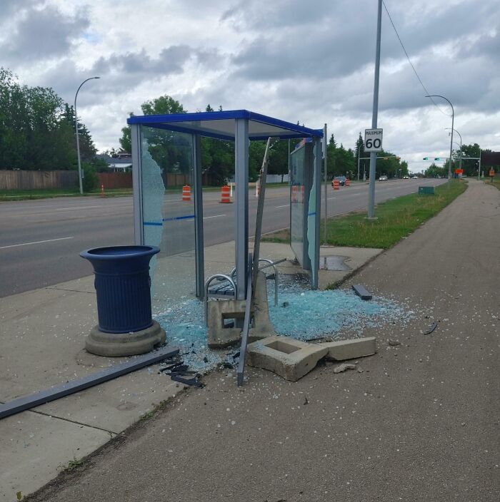 Public Transport Madness: People Doing the Absolute Worst Stuff!