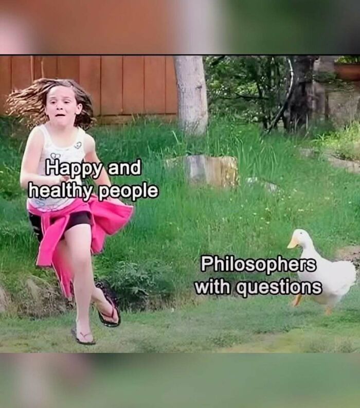 Let’s Laugh at Philosophy Memes That Totally Nail Our Brain Benders