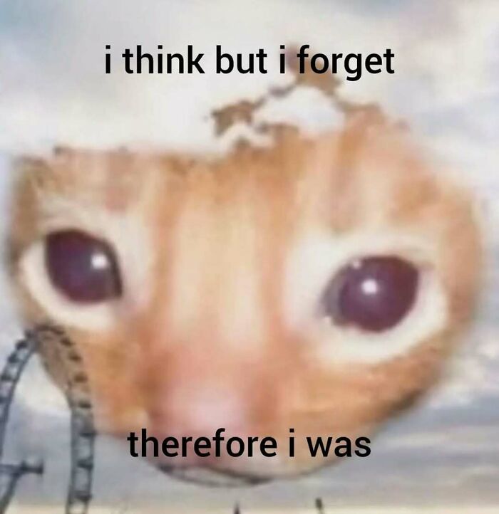 Let’s Laugh at Philosophy Memes That Totally Nail Our Brain Benders