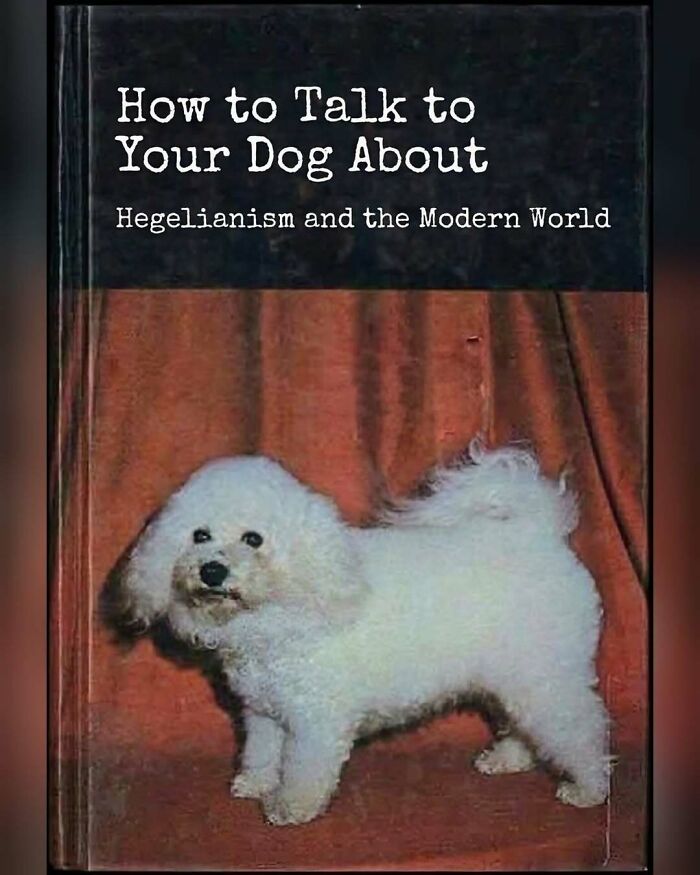 Let’s Laugh at Philosophy Memes That Totally Nail Our Brain Benders