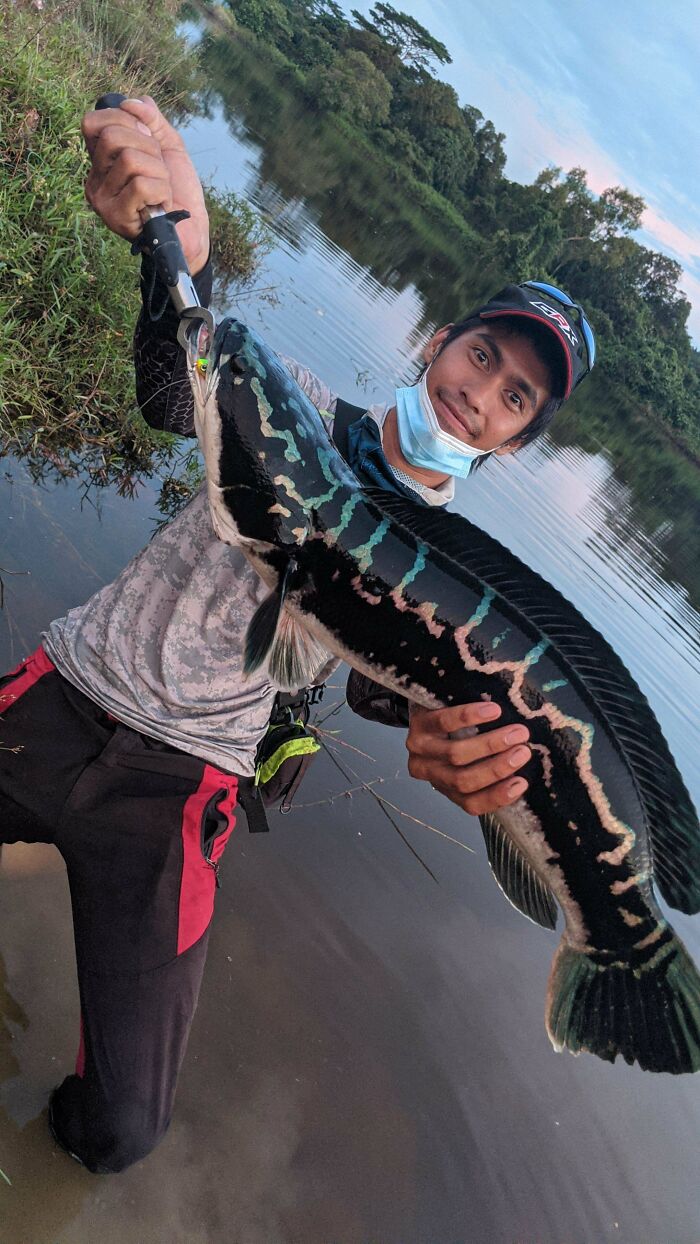 Wait, Nature Went Wild With Colors! 77 Crazy Cool Color Mutations That Look Like They’re From Another Planet