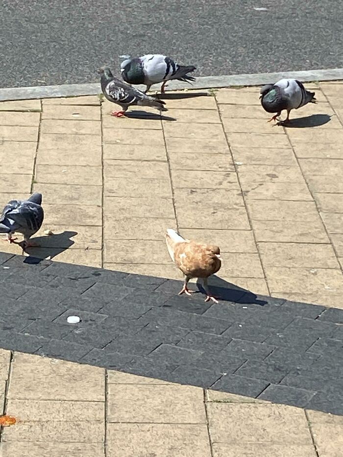 The Government Totally Forgot To Color This One