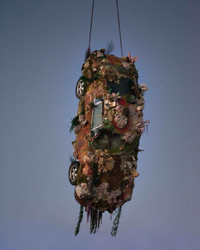 Sunken Romance Installation by Ada Zielinska