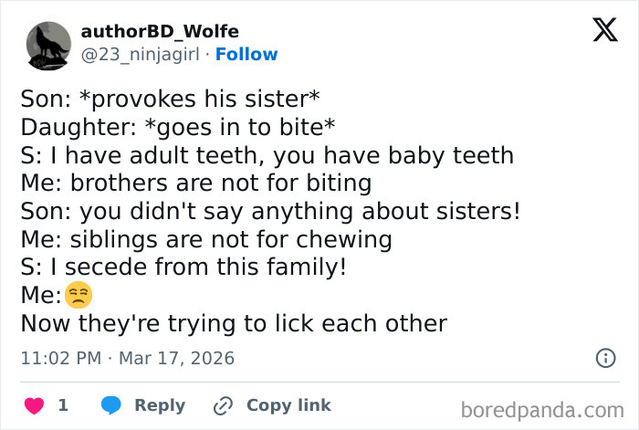 The 49 Wildest Sibling Fights That’ll Make You Laugh (And Nod)