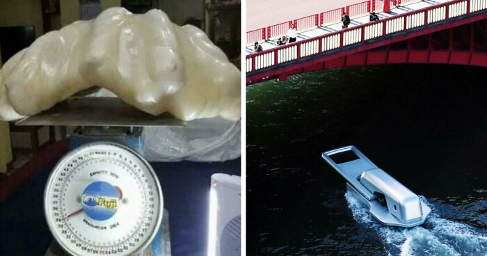 Wait, They Actually Ranked These Wild Facts?!