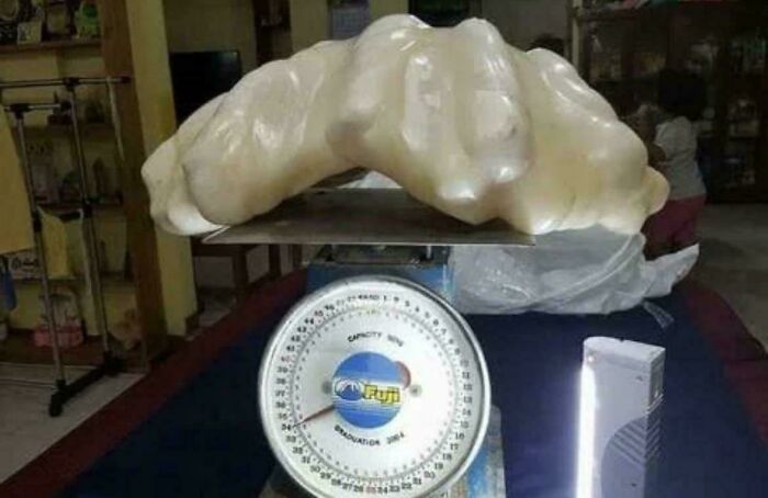 The Fisherman Who Hid the World’s Biggest Pearl Under His Bed for 10 Years