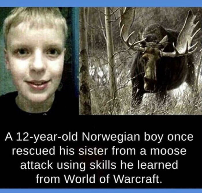 Twelve-Year-Old Gamer Saves His Sister From a Moose Attack Using WoW Tactics