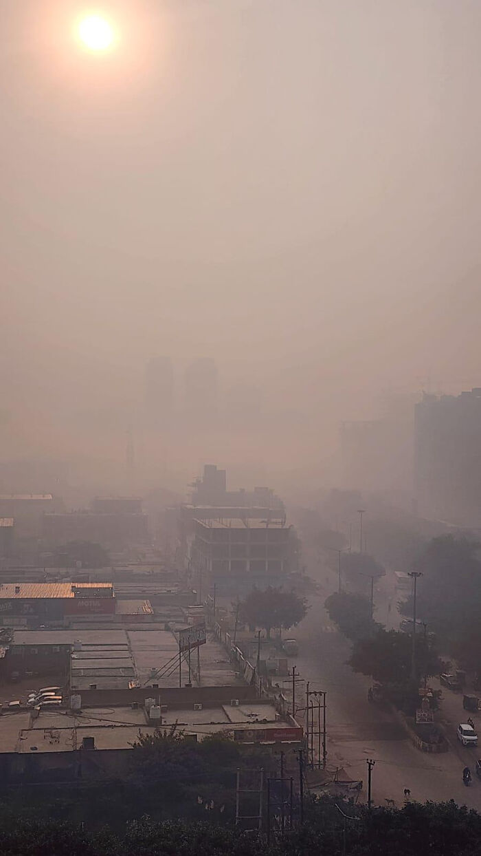 Delhi at 9 AM: Pretty Sunshine Can't Hide the Mess