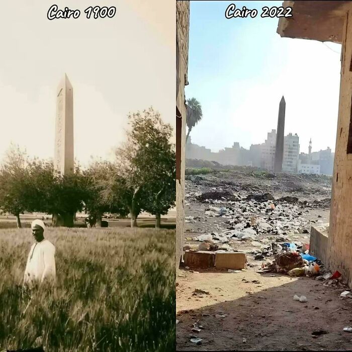 Cairo, Egypt’s Concrete Crowd