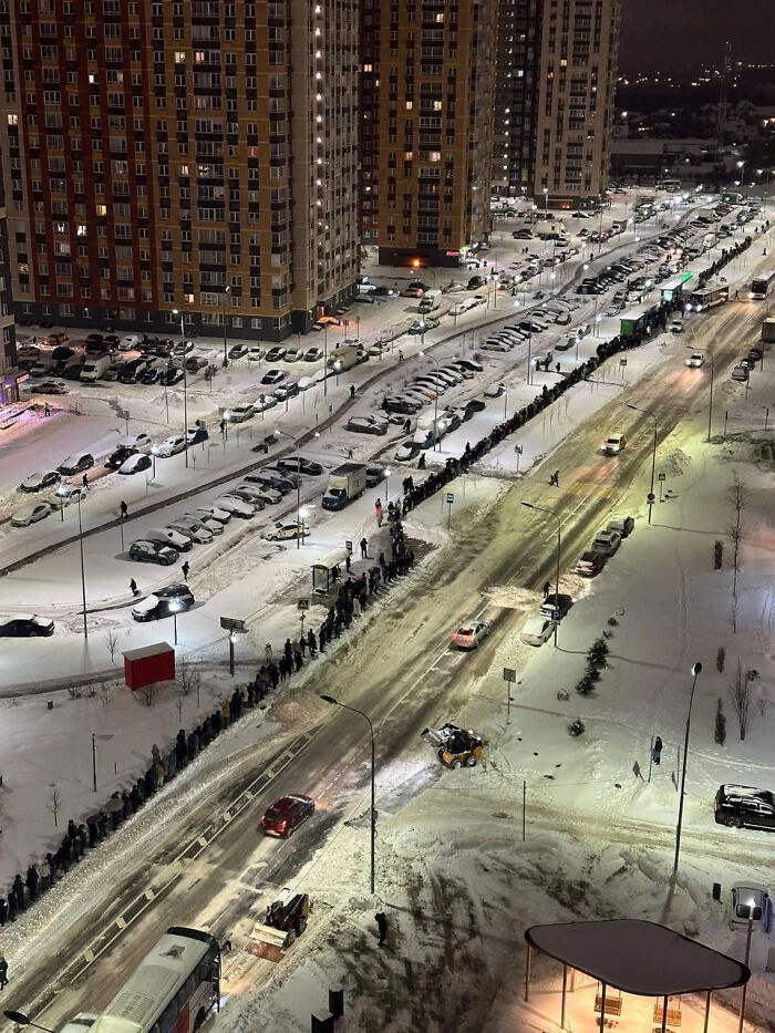 Not Trees, Not a Fence—Just a Bus Line Queue!