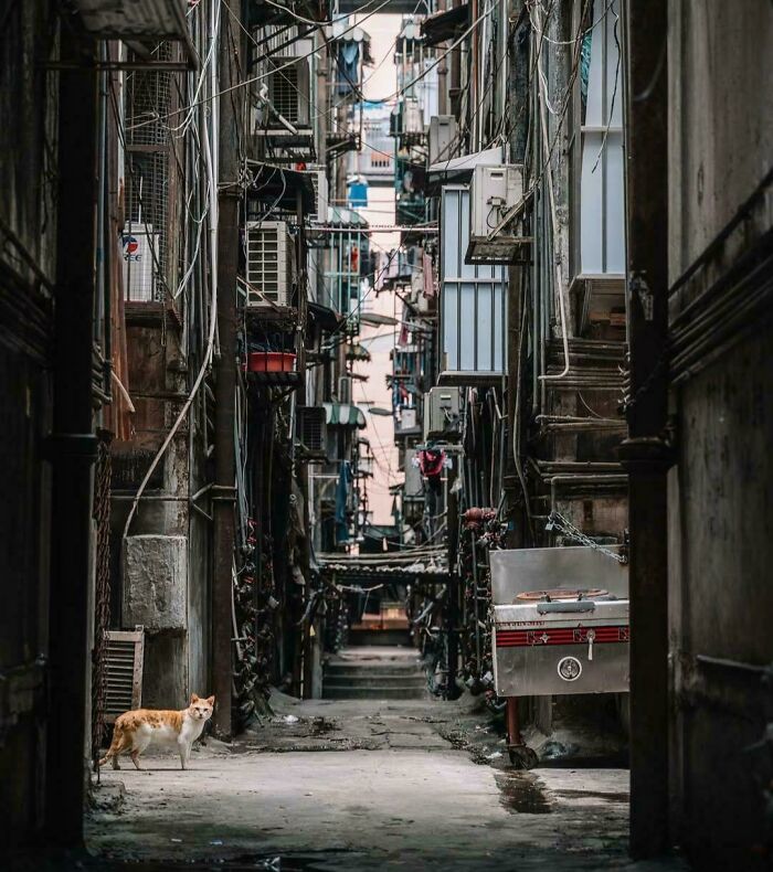 Macau’s Cityscape: Glitzy Meets Crowded