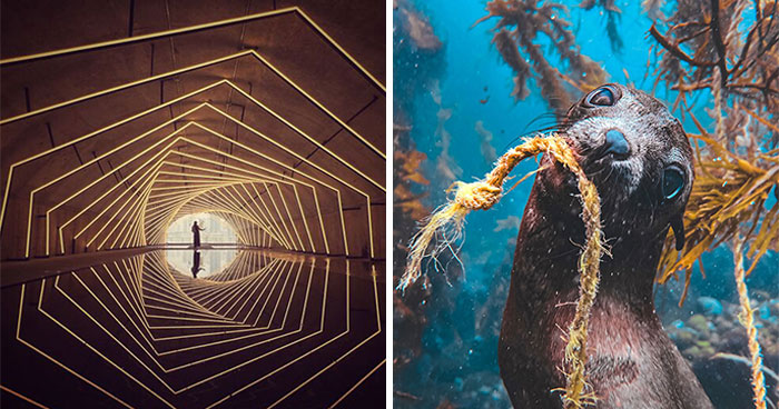 38 Mobile Photos That Will Make You Say ‘Wait, That Was Taken On a Phone?’