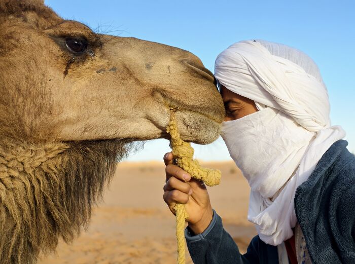 Honorable Mention, Portraits: 'Silent Understanding' by Wang Hsiu Ling