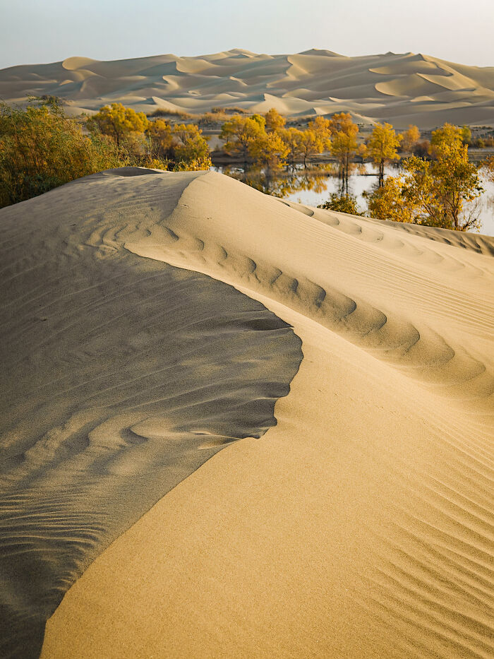 Honorable Mention, Desert Vibes: 'Wonders In The Desert' by Kuanglong Zhang