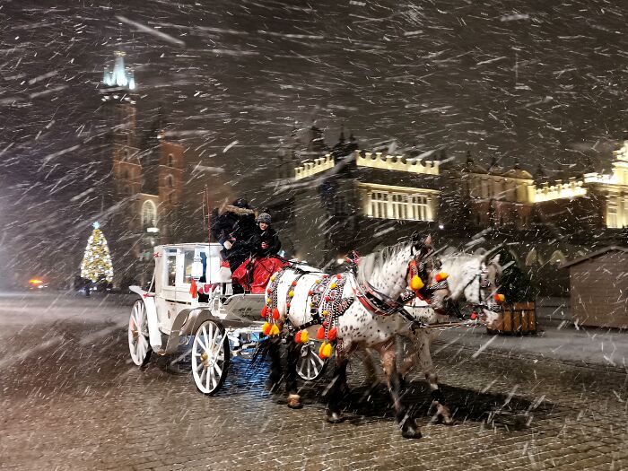 1st Place, Water & Ice: 'Evening Ride' by Beata Zawrzel