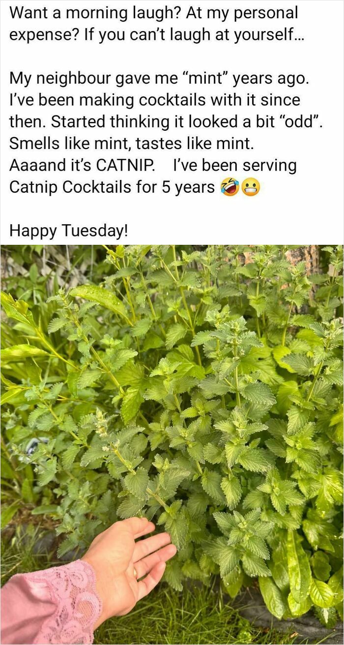 Found A Gem In My Local Gardening Group That’s Too Good Not To Share