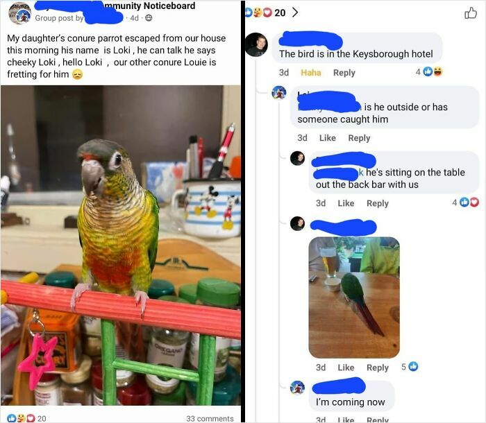 This Funny Local Facebook Community Incident Had Me Rolling