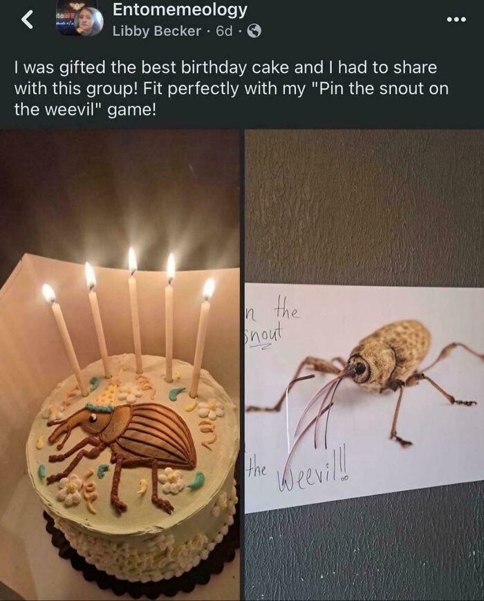 Why Entomologists Might Actually Be The Happiest People Ever