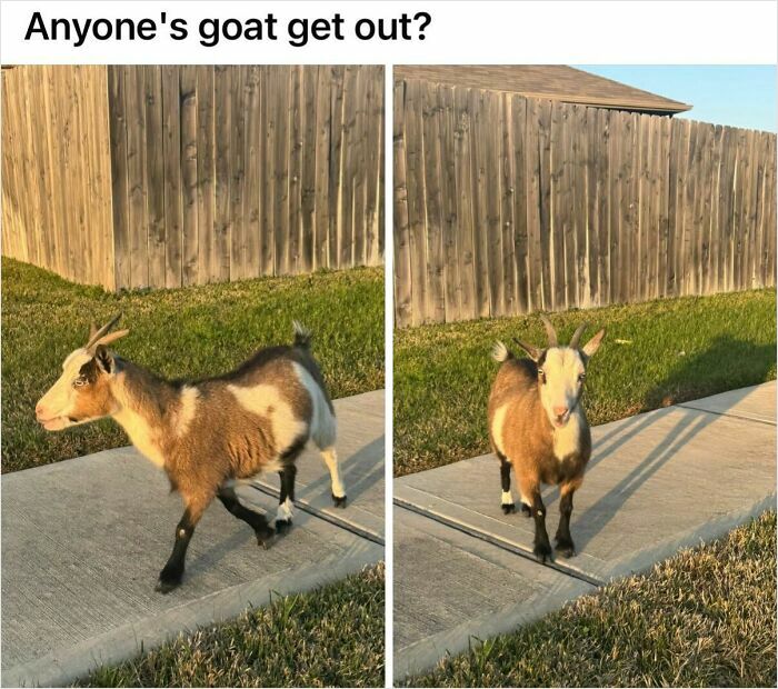 God Bless Texas, And This Neighborhood Facebook Post Proving Why