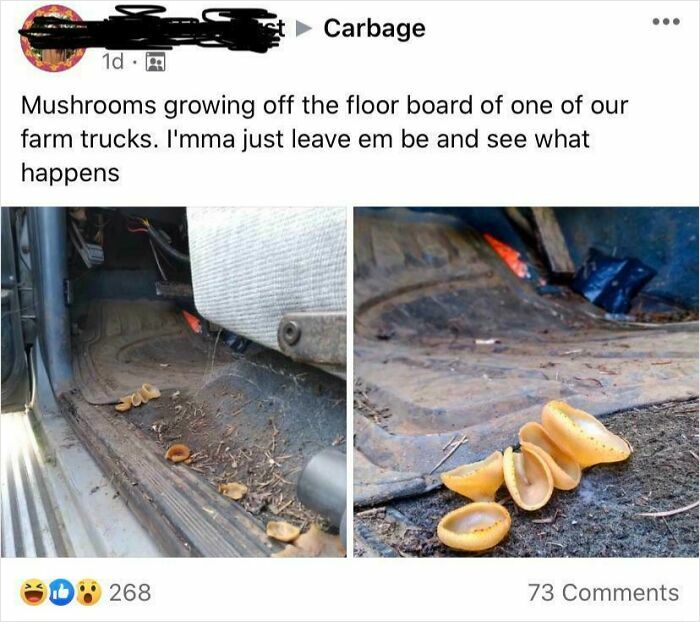 A Funny Little Find I Spotted In This Facebook Group