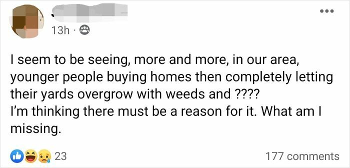 Neighborhood Group Post Sparks Debate On Why Grass Is Overrated