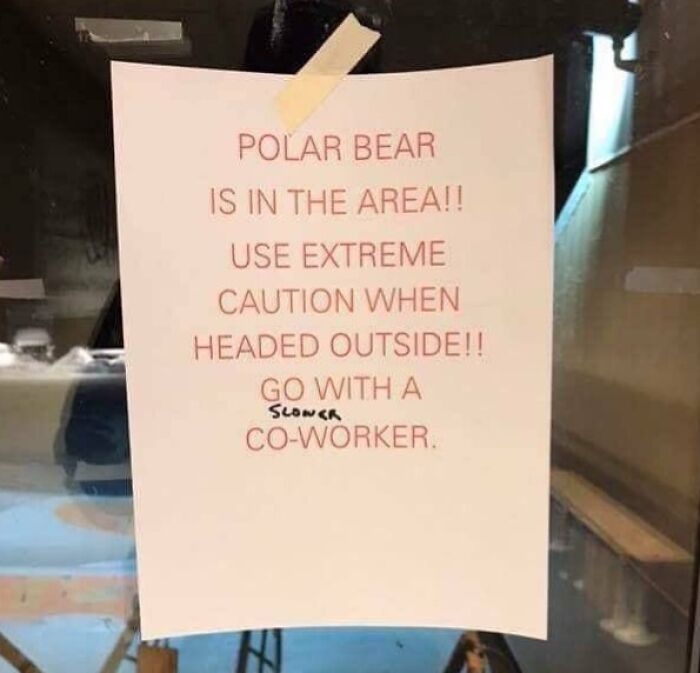 Welcome to the Polar Bear Zone!