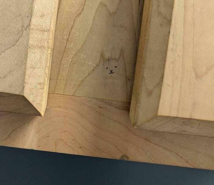 This Vet’s Bathroom Cat Has Opinions