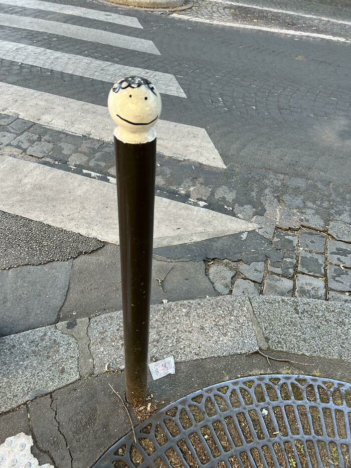 Found This Little Dude Hanging Around Paris