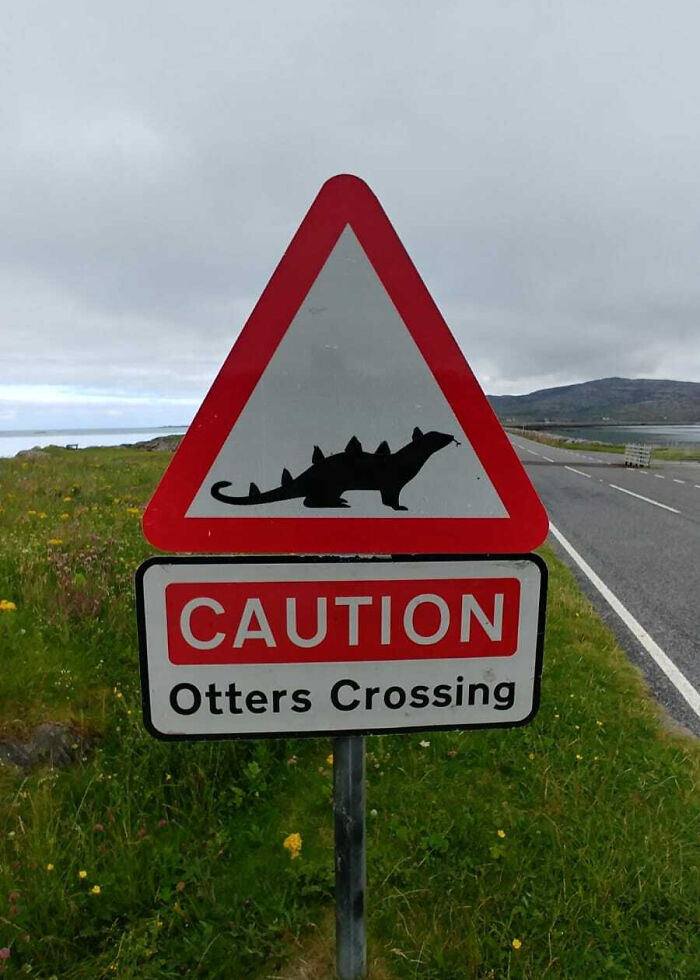 Otters Crossing? Nah, Dinosaurs Crossing!