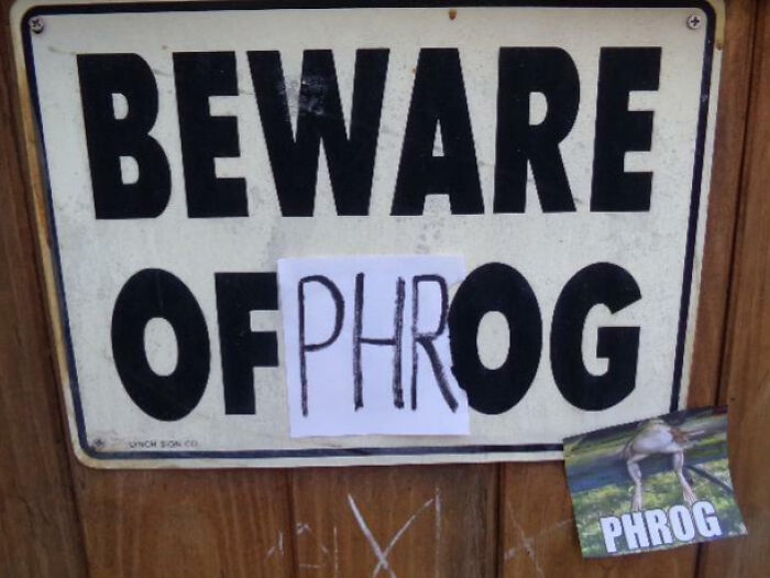 Phrog: The Unexpected Urban Star
