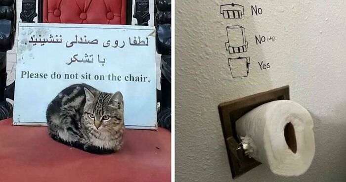 First-World Rebels Being Extra: The Funniest Rule-Breakers You’ve Ever Seen