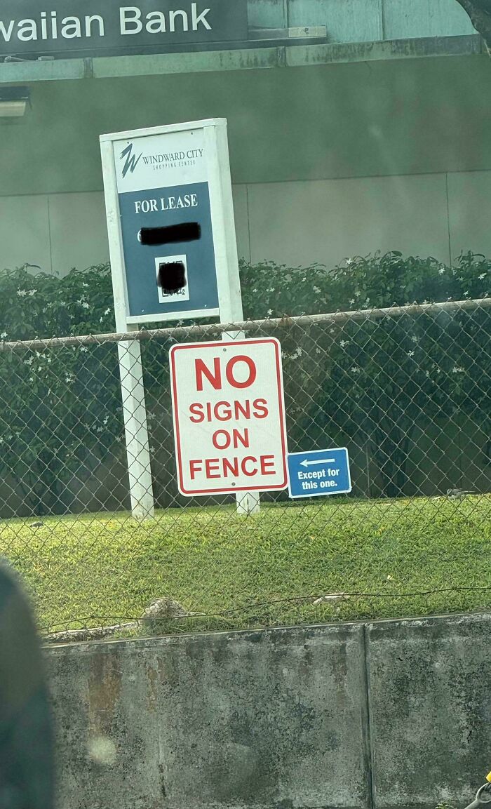 Finally! The Rule-Breaking We’ve Been Waiting For