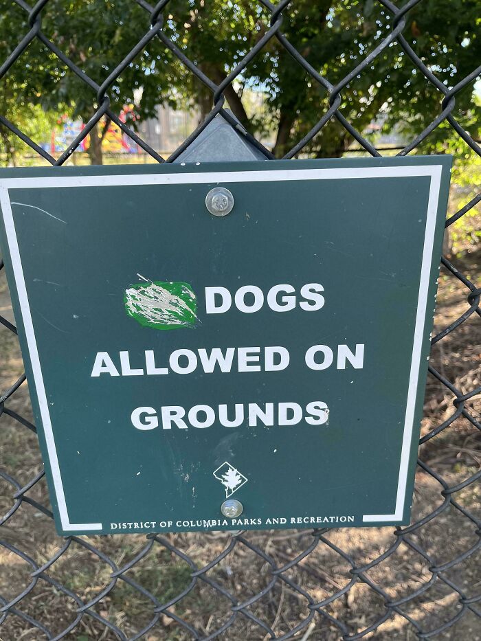 This Spot Officially Declared A Dog Park—By The Dogs